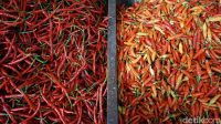 Harga_Cabai_Tembus_Rp100000Kg_Jelang_Lebaran_Tips_Hemat_Belanja