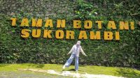 Jelajahi_8_Edukasi_Menarik_di_Jember_Liburan_Seru__Bermanfaat