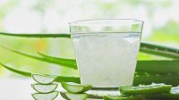 Lidah_Buaya_dan_Gula_Darah_Mitos_atau_Fakta_Terbukti_Secara_Ilmiah