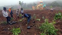 Rehabilitasi_Lahan_Hibisc_Fantasy_Puncak_Ribuan_Pohon_Hijau_Kini_Tumbuh_Subur