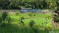 Saung_Ciburial_Garut_Desa_Miskin_Berubah_Jadi_Destinasi_Wisata_Dunia