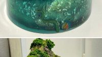 10_Kue_Pulau__Samudra_Desain_Memukau_Bikin_Takjub