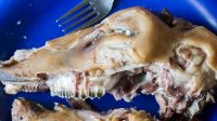 10_Makanan_Unik_Dunia_Dari_Kepala_Kambing_Hingga_Jelly_Ikan