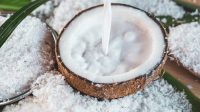 5_Alternatif_Santan_Murah_Meriah_Gantikan_Kelapa_Mahal_Sekarang