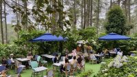 5_Taman_Bunga_Instagramable_di_Bandung_Kafe_Estetik_Wajib_Dikunjungi