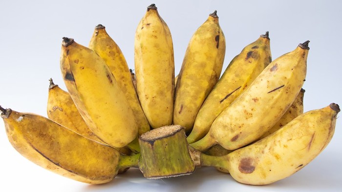 7 Jenis Pisang Terlezat di Dunia: Mana Favoritmu?