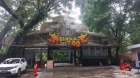 Bandung_Zoo_Larangan_Botram_Lebaran_2025_Ini_Alasannya