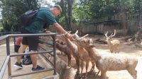 Bandung_Zoo_Rekor_Pengunjung_Lebaran_7800_Orang_Ramaikan_Hari_Kedua