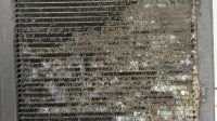 Biaya_Ganti_Evaporator_AC_Avanza_2017_Solusi__Harga_Terkini