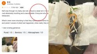 Horor! Bangkai Tikus Ditemukan dalam Salad Ibu Hamil Horor! Bangkai Tikus Ditemukan dalam Salad Ibu Hamil