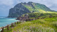 Jeju_Terancam_Lonjakan_Kriminalitas_Akibat_Meningkatnya_Turis