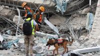 K9_Polri_Deteksi_Korban_Gempa_Myanmar_Misi_Penyelamatan_Sukses