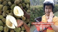 Kegigihan_Pedagang_Tempoyak_Belum_Laku_Semangatnya_Tak_Padam