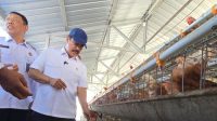 Menteri_Agus_Peternakan_Ayam_Napi_Nusakambangan_Pelatihan_Ditingkatkan