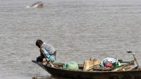 Nasib_Lumba-lumba_Gangga_di_Ujung_Tanduk_Ancaman_Kepunahan_Mengancam