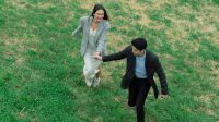 Pesona_Sakura_Mekar_Kisah_Cinta_Luna_Maya_di_Jepang