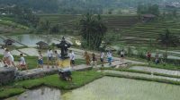 Petualangan_Bali_Aturan_Baru_Wisatawan_Asing_Wajib_Tahu