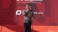 Pordasi Dorong Pembangunan Arena Berkuda Megah di JIEPP