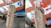 Pria_Temukan_Ular_Beku_Mengejutkan_di_Dalam_Es_Krimnya