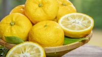 Rahasia_Panjang_Umur_10_Herbal__Makanan_Ajaib_Jepang