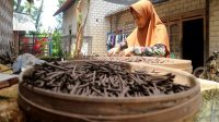 Rasakan_Sensasi_Ampo_Camilan_Tanah_Liat_Gurih__Empuk_yang_Unik