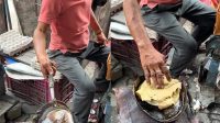 Roti_Telur_Viral_Penjual_Santai_Puluhan_Tikus_Jadi_Teman_Kerja