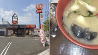 Tikus_di_Sup_Miso_Resto_Ternama_Ini_Minta_Maaf