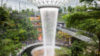 Turis_Nekat_Ulah_Mengutil_di_Bandara_Changi_Terulang_Lagi