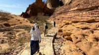 Visa_Transit_Arab_Saudi_Diperketat_Indonesia_Waspada_Aturan_Baru