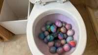 Wanita_Mewarnai_Telur_Paskah_di_Toilet_Lihat_Videonya