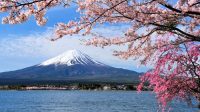 Waspada_Panduan_Lengkap_Jepang_Hadapi_Erupsi_Gunung_Fuji_Siap_Siaga
