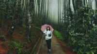 5 Wisata Alam Bandung: Dekat Kota, Instagramable & Menyegarkan 5 Wisata Alam Bandung: Dekat Kota, Instagramable & Menyegarkan