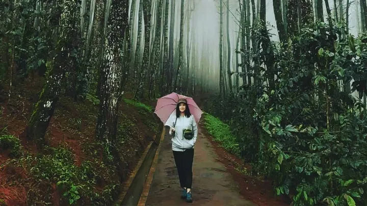 5 Wisata Alam Bandung: Dekat Kota, Instagramable & Menyegarkan