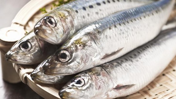 6 Ikan Ajaib Atasi Diabetes: Sarden, Nila, dan Lainnya
