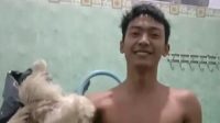 Atlet Binaraga Malang Viral: Rahasia Kekuatan Ayam Tiren Atlet Binaraga Malang Viral: Rahasia Kekuatan Ayam Tiren