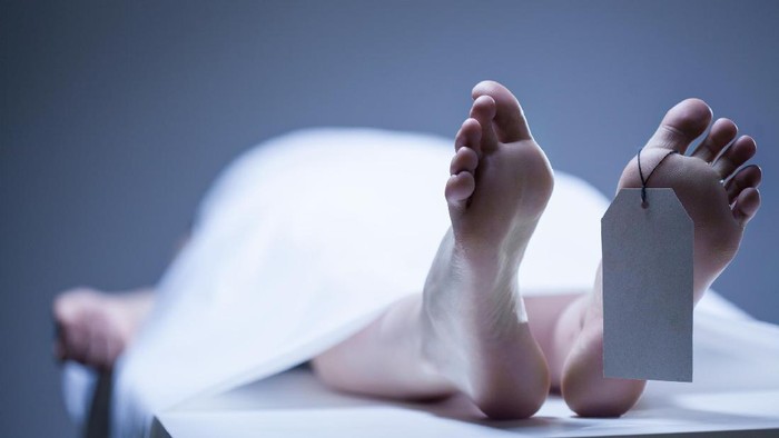 Bahaya Alat Pengering Rektum: Usus Besar Pria Pecah