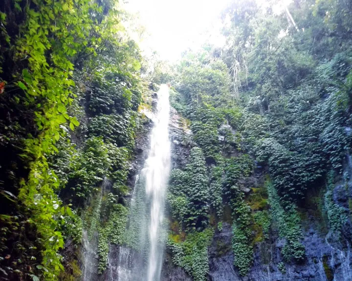Curug Benowo: Petualangan Air Terjun Tersembunyi, Hutan Asri & Lutung Liar