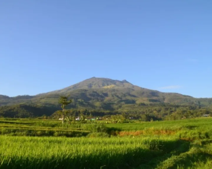 Eksplorasi Pesona Alam Gunung Lawu: Ekoturisme Solo Raya