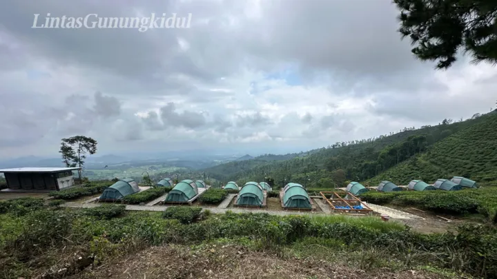 Glamping Eksklusif Kebun Teh Jamus: Petualangan Gunungkidul Menakjubkan