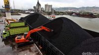 Harga Batu Bara Mei 2025: Update Terkini & Rincian Lengkap Harga Batu Bara Mei 2025: Update Terkini & Rincian Lengkap