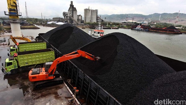 Harga Batu Bara Mei 2025: Update Terkini & Rincian Lengkap
