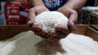 Harga Beras Dunia Turun Drastis, Indonesia Untung Besar?