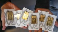 Harga Emas Hari Ini Melonjak Tajam: Segera Cek! Harga Emas Hari Ini Melonjak Tajam: Segera Cek!