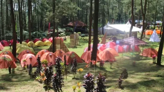 Healing Murah di Jawa Timur? 5 Destinasi Adem & Menenangkan