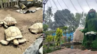 Ibarbo Park Jogja 2025: Petualangan Seru, Harga Tiket & Tips