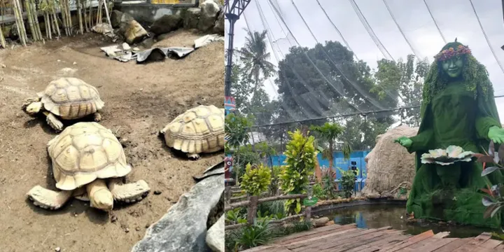 Ibarbo Park Jogja 2025: Petualangan Seru, Harga Tiket & Tips