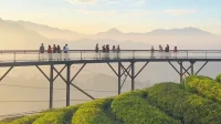 Jembatan Kaca Terpanjang Jawa Barat: Petualangan Menantang di Bandung Jembatan Kaca Terpanjang Jawa Barat: Petualangan Menantang di Bandung