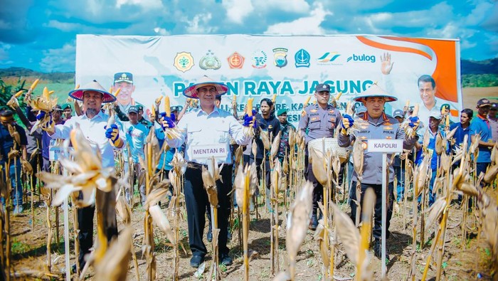 Kabar Gembira Petani! Mentan Umumkan Harga Jagung Naik