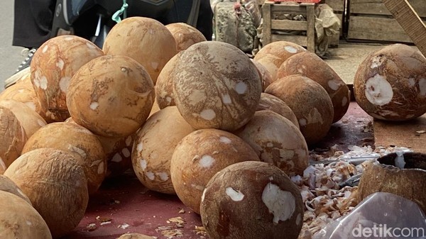 Kelangkaan Kelapa: Menteri Prabowo Jawab Keluhan Pengusaha