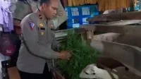 Kisah Inspiratif Kanit Gakkum: Kambing, Harapan, dan Pengabdian Polres Majalengka